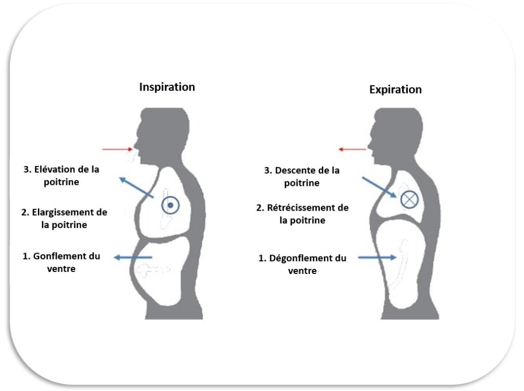 La Respiration Société Française de Préparation Mentale